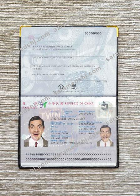 Taiwan passport photo look